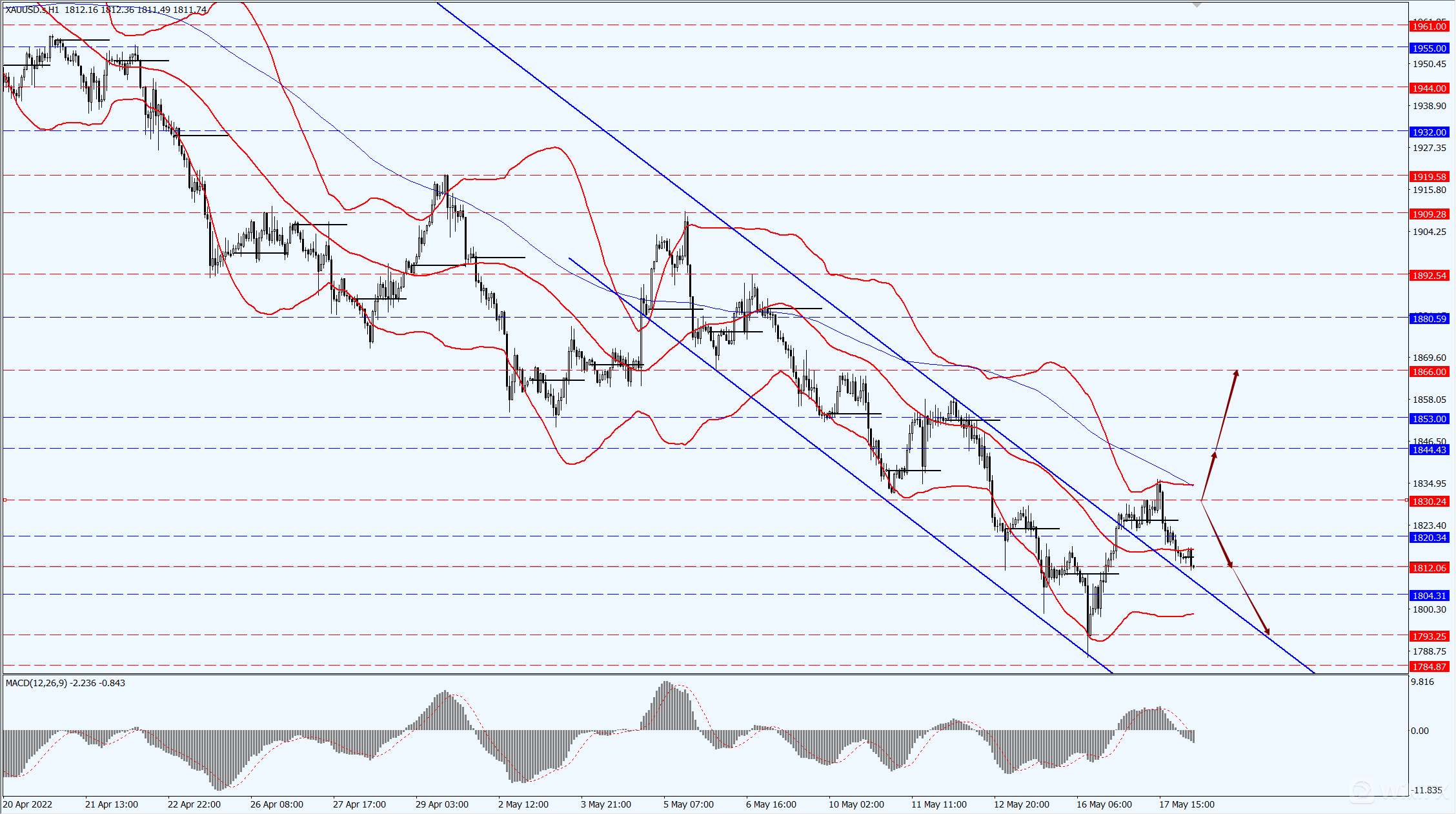 3_每日汇评.png 3_每日汇评.png