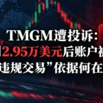 TMGM遭投诉：盈利2.95万美元后账户被封，“违规交易”依据何在？